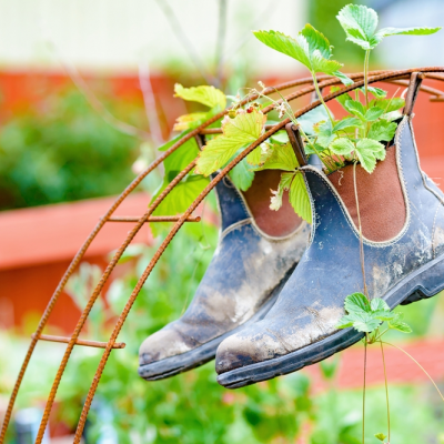 De gerecyclede tuin!
