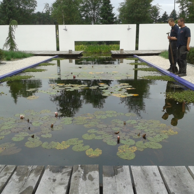 prachtige adembenemende giga voortuin in westerhoven (1600m2)