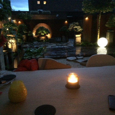 tuin met heel veel bonsai