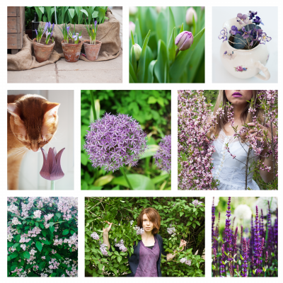 Een moodboard van je dromen