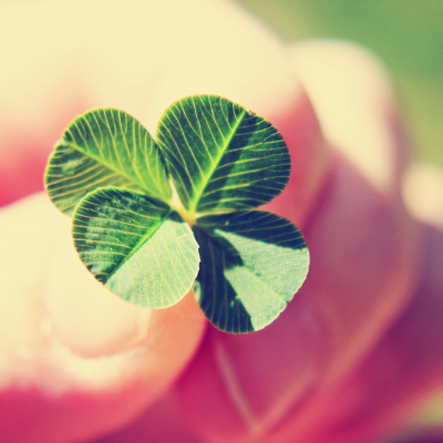 Tuingeluk in plaats van tegeltax!