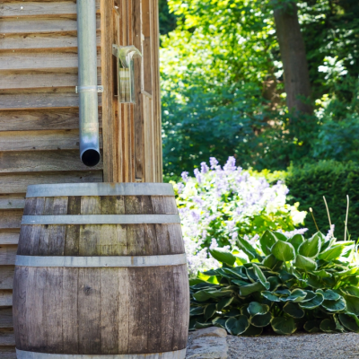 De ecologische gedachte