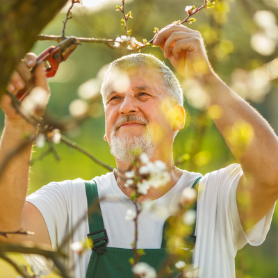 Een hovenier heeft verstand van...